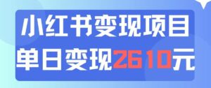 利用小红书卖资料单日引流150人当日变现增多元小白可实操（教程 资料）-秀新品副业项目网