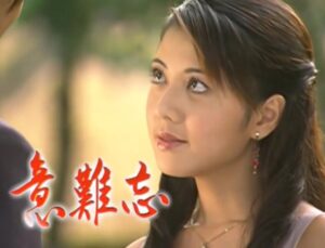 《意难忘》台湾电视剧意难忘闽南语版872集台语版-秀新品副业项目网