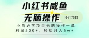 小红书特训营13期,从定位/到起号/到变现全路径,带你快速打通爆款-秀新品副业项目网