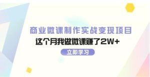 商业微课制作实战变现项目，这个月我做微课赚了2W-秀新品副业项目网
