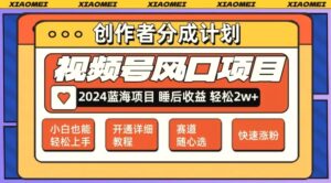 微信视频号大风口项目轻松月入2w 多赛道选择，可矩阵，玩法简单轻松上手-秀新品副业项目网