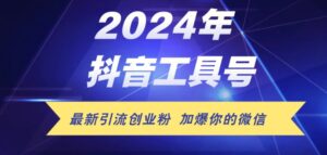 24年抖音最新工具号日引流300 创业粉,日入5000-秀新品副业项目网