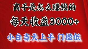1天收益3000 ，月收益10万以上，24年8月份爆火项目-秀新品副业项目网
