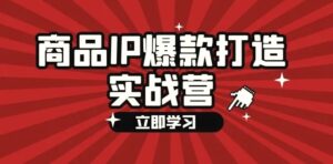 商品IP爆款打造实战营【第四期】，手把手教你打造商品IP，爆款不断-秀新品副业项目网