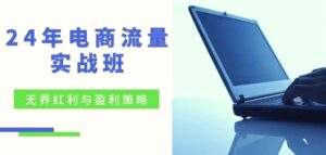 24年电商流量实战班：无界红利与盈利策略，终极提升/关键词优化-秀新品副业项目网