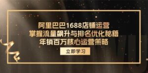阿里巴巴1688店铺运营,掌握流量飙升与排名优化秘籍年销百万核心运营策略-秀新品副业项目网