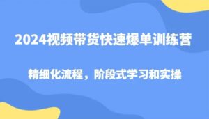 2024视频带货快速爆单训练营,精细化流程,阶段式学习和实操-秀新品副业项目网