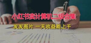 小红书卖计算机二级合集，发发图片一天收益能上千-秀新品副业项目网