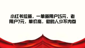 小红书拉新，一单新用户15元，老用户7元，单价高，做的人少不内卷-秀新品副业项目网
