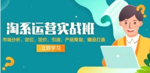 淘系运营实战班:市场分析、定位、定价、引流、产品策划,爆品打造-秀新品副业项目网
