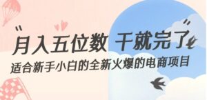 月入五位数干就完了适合新手小白的全新火爆的电商项目-秀新品副业项目网