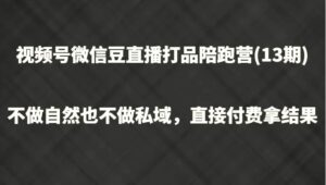 视频号微信豆直播打品陪跑(13期)，不做不自然流不做私域，直接付费拿结果-秀新品副业项目网