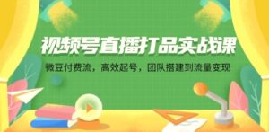 视频号直播打品实战课:微豆付费流,高效起号,团队搭建到流量变现-秀新品副业项目网