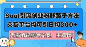 Soul引流创业粉野路子方法,交友平台均可引日均300 ,无需剪视频写文案-秀新品副业项目网