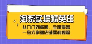 淘系实操精英班:从入门到精通,全面覆盖,一站式掌握店铺盈利秘籍-秀新品副业项目网
