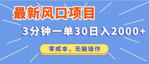 最新风口项目操作，3分钟一单30。日入2000左右，零成本，无脑操作-秀新品副业项目网