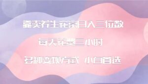 靠卖养生花茶日入三位数，每天花费三小时多种变现方式小白首选-秀新品副业项目网