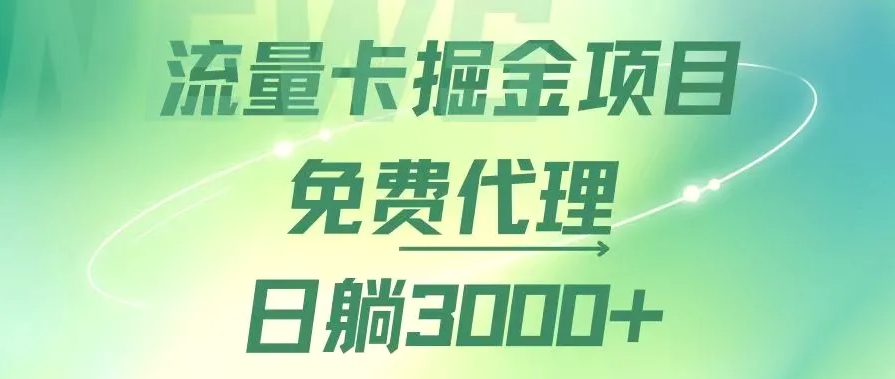 流量卡掘金代理，日躺赚3000 ，变现暴力，多种推广途径-秀新品副业项目网
