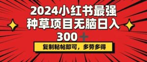 2024小红书最强种草项目，无脑日入300 ，复制粘帖即可，多劳多得-秀新品副业项目网