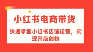 小红书电商带货,快速掌握小红书店铺运营,实现开店创收-秀新品副业项目网