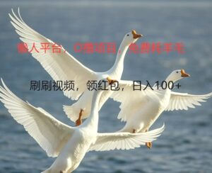 O撸懒人平台,全新手机广告不推广单机100 ,刷刷就有捡钱一样,简单无脑稳定-秀新品副业项目网