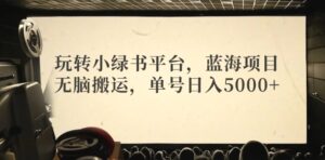 玩转小绿书平台,蓝海项目,无脑搬运,单号日入5000-秀新品副业项目网