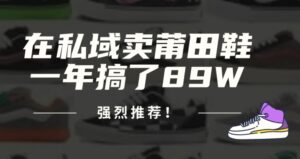 2024年在私域卖莆田鞋,一年搞了89W,强烈推荐!-秀新品副业项目网