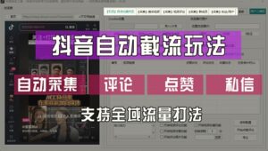 抖音自动截流玩法，利用一个软件自动采集、评论、点赞、私信，全域引流-秀新品副业项目网