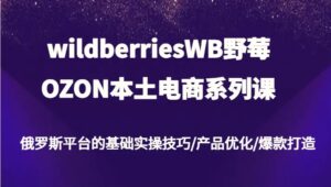 wildberriesWB野莓/OZON本土电商系列课，俄罗斯平台的基础实操技巧/产品优化/爆款打造-秀新品副业项目网