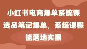 小红书电商爆单系统课选品笔记爆单，系统课程，能落地实操-秀新品副业项目网