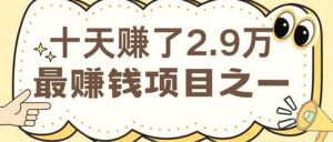 闲鱼小红书赚钱项目之一,轻松月入6万 项目-秀新品副业项目网