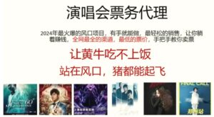 演唱会票务代理，2024年最火爆风口项目，全网最低的票价，小白一分钟上手日入2000-秀新品副业项目网