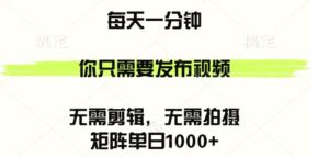 矩阵单日1000 ，你只需要发布视频，用时一分钟，无需剪辑，无需拍摄-秀新品副业项目网