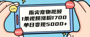 指尖宠物视频，1条视频涨粉1700，单日变现5000-秀新品副业项目网